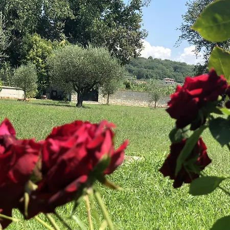 Tenuta Ferrara